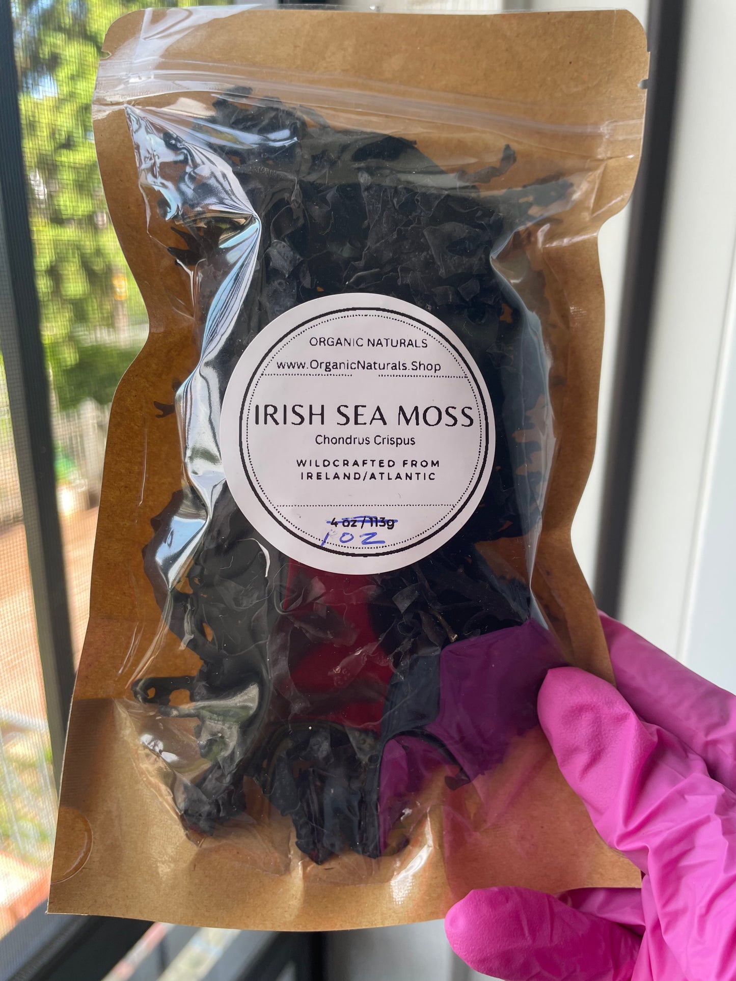 Irish Sea Moss / Chondrus Crispus