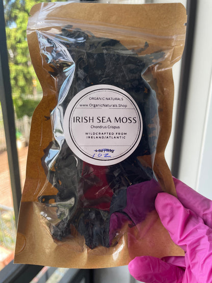 Irish Sea Moss / Chondrus Crispus