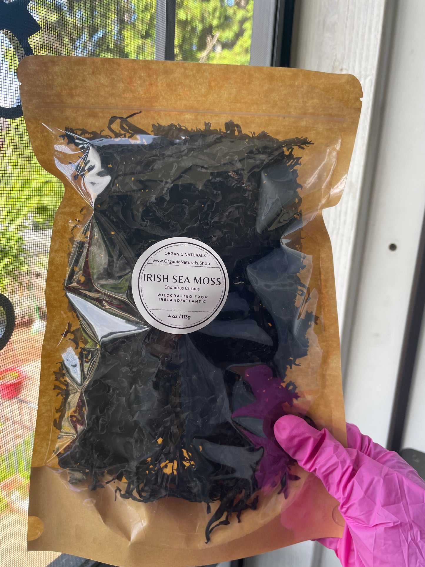 Irish Sea Moss / Chondrus Crispus