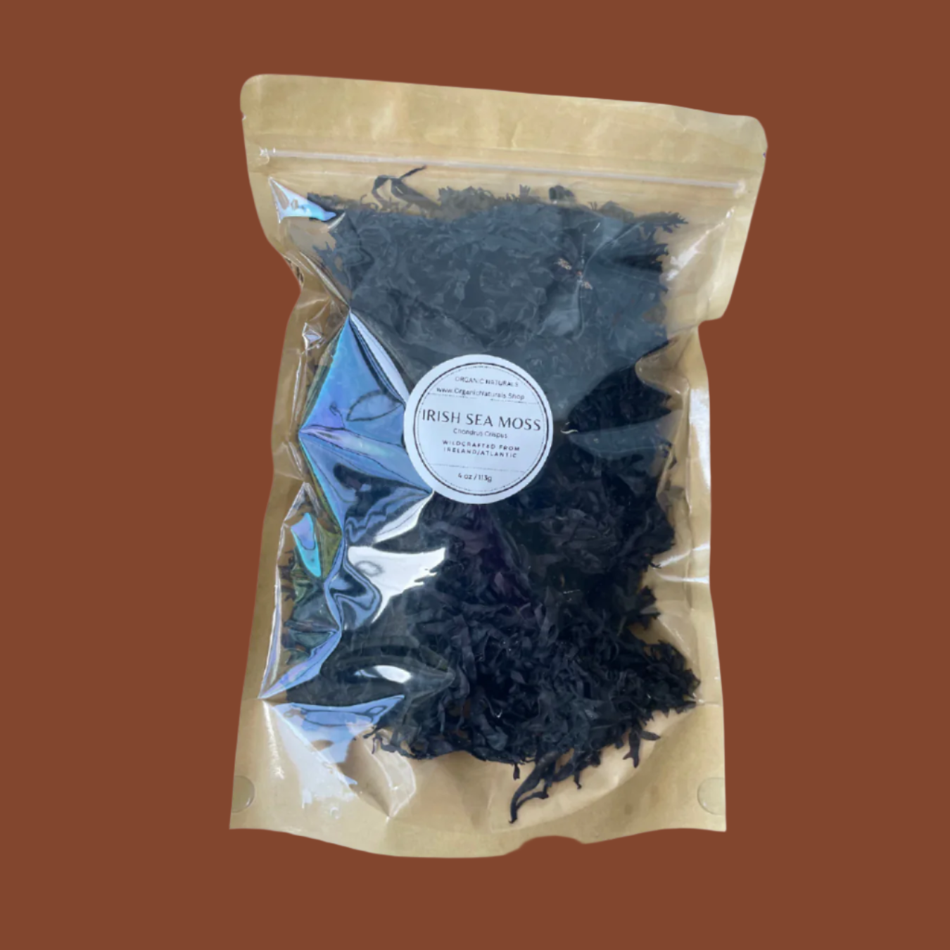 Irish Sea Moss / Chondrus Crispus