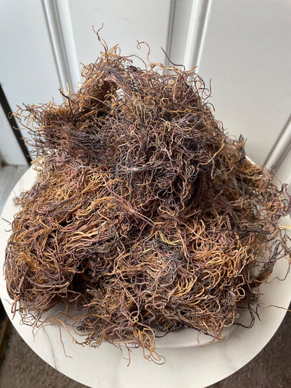Rare Honduras Sea Moss